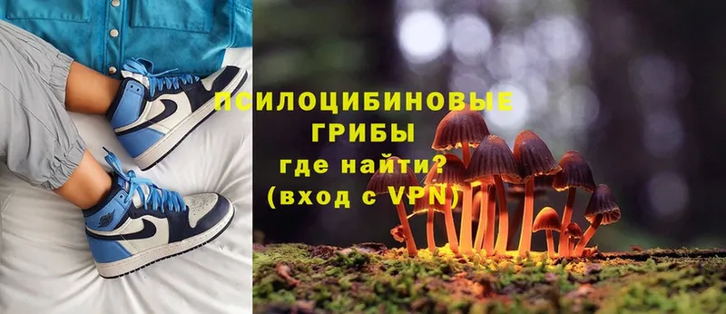 Псилоцибиновые грибы Cubensis  цена   shop как зайти  Балтийск 